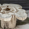 Uttermost - 50365 - Coffee Table - Anzalone - Natural