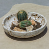Uttermost - 18357 - Bowl - Quarried Stone - Natural