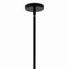 Kichler - 52701BK - 12 Light Chandelier Convertible - Silvarious - Black