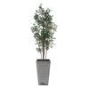 Uttermost - 60269 - Planter - Sonora Olive - Silvery-green