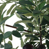 Uttermost - 60269 - Planter - Sonora Olive - Silvery-green