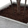 Uttermost - 60269 - Planter - Sonora Olive - Silvery-green