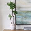 Uttermost - 60266 - Tree - Arbor Strawberry - Aged Ivory