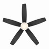 Minka Aire - F673L-BBR/CL - 52" Ceiling Fan - Airetor - Brushed Brass