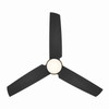 Minka Aire - F671L-BBR/CL - 48" Ceiling Fan - Pure - Brushed Brass