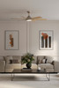 Minka Aire - F779L-BN/WTO - 56" Ceiling Fan - Allegata - Brushed Nickel