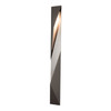 Hubbardton Forge - 302044-SKT-LFT-78 - Carbon Large Outdoor Sconce - Carbon - Coastal Burnished Steel