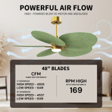 Matthews Fan Company - AKTPLK-BRBR-PL - Five Blade Ceiling Fan - Alessandra Tropical - LK - Brushed Brass