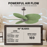 Matthews Fan Company - AKTP-BN-PL - Five Blade Ceiling Fan - Alessandra Tropical - Brushed Nickel
