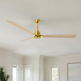 Matthews Fan Company - AK-BRBR-LM-72 - 72" Ceiling Fan - Alessandra - Brushed Brass