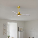 Matthews Fan Company - AKLK-BRBR-BW-42 - 42" Ceiling Fan - Alessandra - LK - Brushed Brass