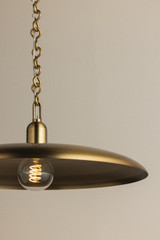Mitzi - H1182701L-PBR - One Light Pendant - Mamie - Patina Brass