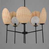 Maxim - 12605NABK - Five Light Chandelier - Maldives - Black
