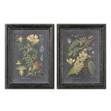 Uttermost - 56053 - Wall Art - Midnight Botanicals - Black