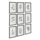 Uttermost - 41617 - Wall Art - Farmhouse Florals - Matte Black