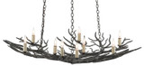 Currey and Company - 9000-0555 - Nine Light Chandelier - Rainforest - Rustic Bronze
