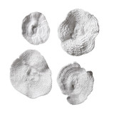 Uttermost - 20170 - Wall Art - Sea Coral - Antique White