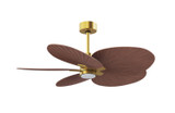Matthews Fan Company - AKTPLK-BRBR-WN - 48"Ceiling Fan - Alessandra TROPICAL - LK - Brushed Brass