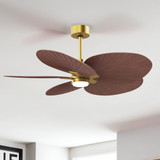 Matthews Fan Company - AKTPLK-BRBR-WN - 48"Ceiling Fan - Alessandra TROPICAL - LK - Brushed Brass