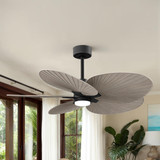 Matthews Fan Company - AKTPLK-BK-GA - 48"Ceiling Fan - Alessandra TROPICAL - LK - Matte Black