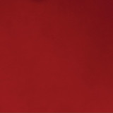 Matthews Fan Company - MP-RED-MTL - 19"Wall Fan - Michelle Parede - Rubi