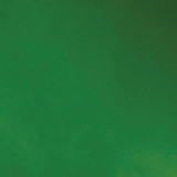 Matthews Fan Company - MP-GREEN-MTL - 19"Wall Fan - Michelle Parede - Esmerelda