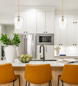 Z-Lite - 473P9-BBR - One Light Pendant - Joliet - Burnished Brass