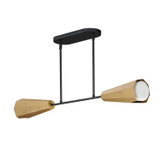 Maxim - 10816SWBKAB - Two Light Linear Pendant - Rizzo - Black / Antique Brass