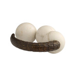 Arteriors - ASI22 - Sculpture - Sonora - White/Bronze