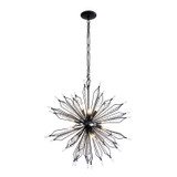 Varaluz - 311P12CB - 12 Light Pendant - Orbital - Carbon