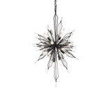 Varaluz - 311F16CB - 16 Light Foyer Pendant - Orbital - Carbon
