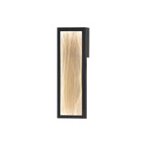 ET2 - E30322-112BK - LED Wall Sconce - Celeste - Black