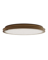 Currey and Company - 9999-0090 - LED Flush Mount - Aydan - Natural / Brushed Brass