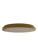 Currey and Company - 9999-0084 - LED Flush Mount - Aydan - Natural/Polished Antique Brass