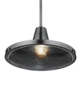 Currey and Company - 9500-0027 - One Light Pendant - Mariner - Antique Silver/Clear