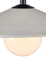 Currey and Company - 9500-0020 - One Light Pendant - Bothy - Natural/Black/Frosted White