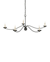 Currey and Company - 9000-1485 - Five Light Chandelier - Franz - Black