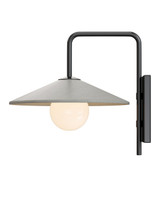 Currey and Company - 5500-0058 - One Light Wall Sconce - Bothy - Natural/Black/Frosted White