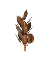 Currey and Company - 5000-0308 - Three Light Wall Sconce - Weston - Magnolia Leaf