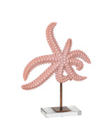 Currey and Company - 1200-1171 - Starfish Set of 2 - Starfish - Pink