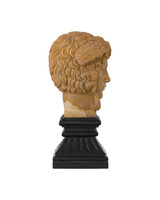 Currey and Company - 1200-1103 - Head on Metal Plinth - Hypnos - Light Coral / Black