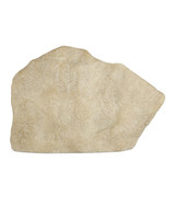Currey and Company - 1200-1071 - Sculpture - Architectural Remnant - Beige