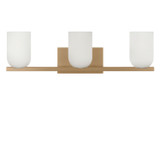 Generation Lighting - GLV1973SB - Three Light Vanity - Neblina - Satin Brass