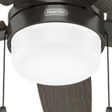 Hunter - 52490 - 44" Ceiling Fan - Anisten - Noble Bronze