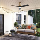 Hunter - 50044 - 52" Ceiling Fan - Aeronaut - Luxe Gold