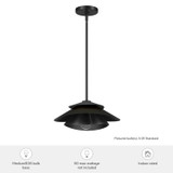 Hunter - 48157 - One Light Pendant - Hiro - Matte Black