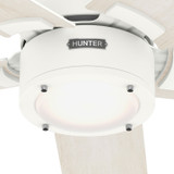 Hunter - 52851 - 52" Ceiling Fan - Erling - Fresh White