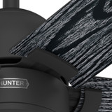 Hunter - 52850 - 52" Ceiling Fan - Erling - Matte Black