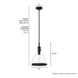 Hunter - 48052 - One Light Pendant - Van Nuys - Matte Black