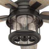 Hunter - 59420 - 52" Ceiling Fan - Coral Bay - Noble Bronze
